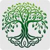 Plastic Reusable Drawing Painting Stencils Templates for Painting On Scrapbook Paper Wall Fabric Floor Furniture Wood Square Tree of Life Pattern