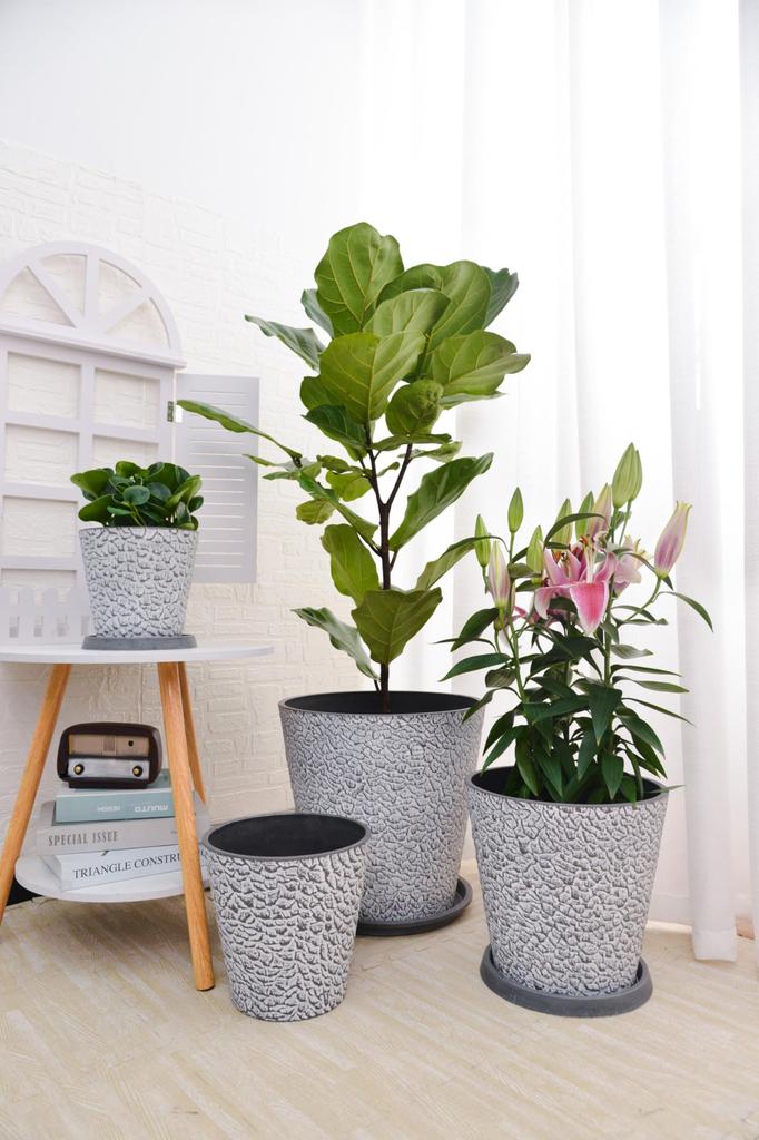 GreenShip Blumen Zimmerpflanzentopf Kein Umtopfen Harz Plastik Relief Keine Drainage Geeignet für Knollenpflanzen Topf, Topf, Übertopf, Nein. 8, Erforderlich, Holzkohle,