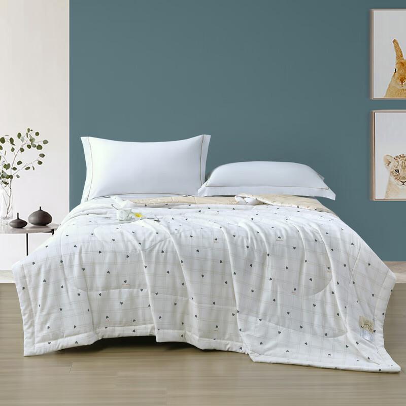 

Paul & Peter Radiant Antibacterial All-Season Quilt