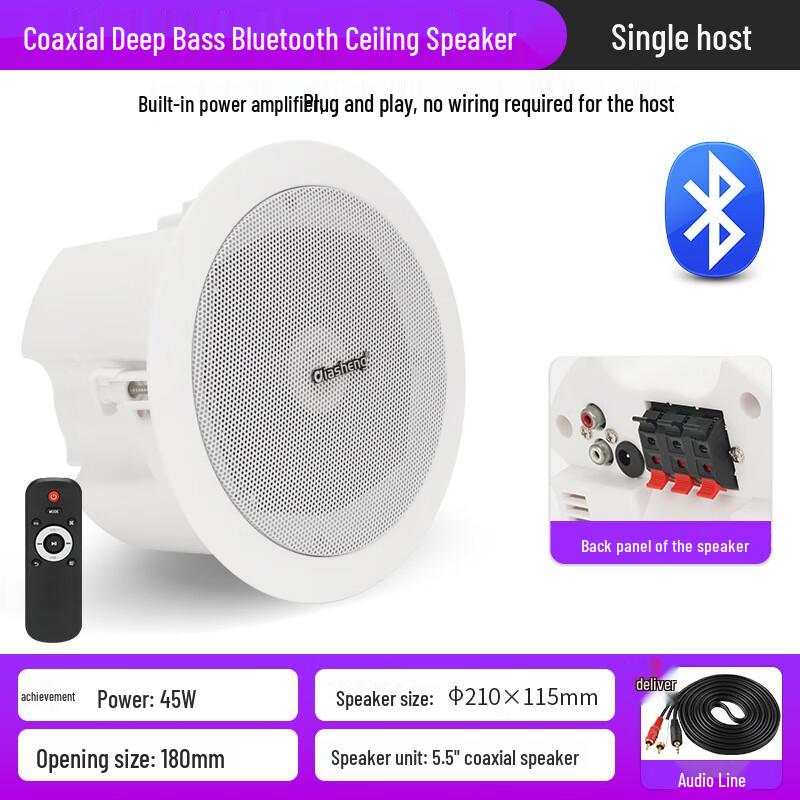 QIASHENG Commercial Bluetooth Ceiling Speaker System