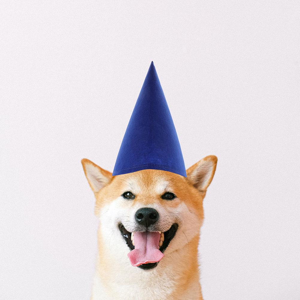 4 st Konformad Filthatt Rund Kon Ankhatt Festartiklar Jul Tomtehatt Gnomhattar Halloween Rekvisita Födelsedagshatt Alvhatt