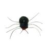 Cat Toy Replacement Insect Heads: Spider & Bee Teasing Stick Accessories for Self-Entertainment