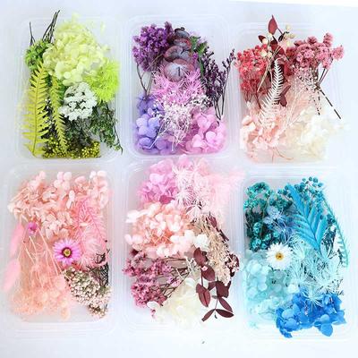 Preserved Fresh Flower Rabbit Tail Grass Dried Flower Hydrangea Dried Christmas DIY Material Package