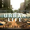 Urban Life by Yusuf Babatunde Paperback Book 9781035883486
