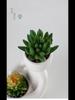 European-Style Succulent Doll Pots: Creative Desktop Green Plant Ornaments