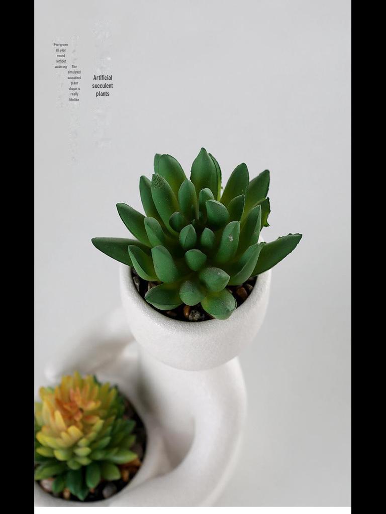 European-Style Succulent Doll Pots: Creative Desktop Green Plant Ornaments