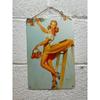 Pin-Up Girl Tin Plates, Garage Workshop Metal Decor 20x30cm