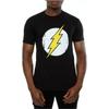 DC Comics Mens Flash Distressed Logo T-Shirt