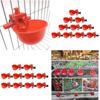 20 Pack Poultry Water Drinking Cups Chicken Hen Automatic Drinker