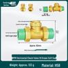6/4 PPR Hot Melt Full Copper Check Valve, Horizontal/Vertical, 1-Inch Double Union, One-Way Tap Water Pipe Valve.