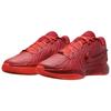 Nike LeBron 21 James Gang Sneakers HF5951-600