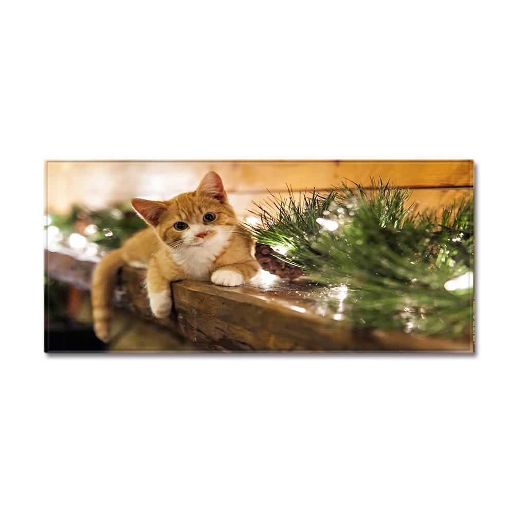 Animal Sand Wardrobe Shoe Cabinet Long Floor Mat