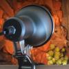 Clip-on Lamp Holder Turtle Basking Lamp Thermostat Vivarium Reptile Heat Lamp Reptiles Basking 75W Pet Heat Bulb