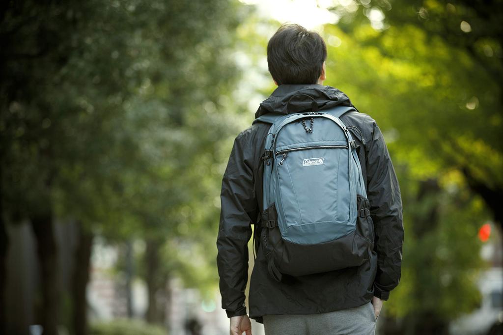 Coleman Walker 33 (Slate)