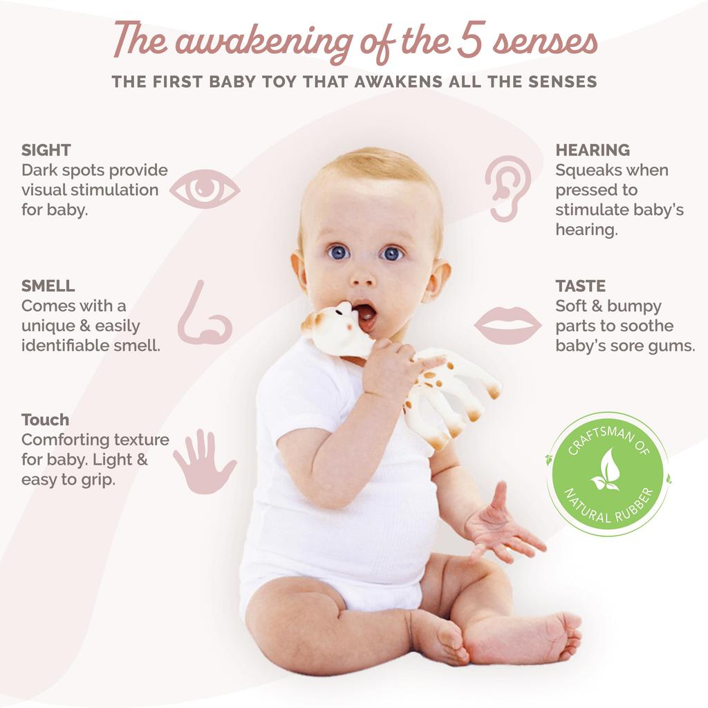Sophie the Giraffe 18cm Beige Natural Rubber Tiny Spoon Japanese Product by 0 months to 0 years Popular Teether Baby Products Pacifier Baby Shower