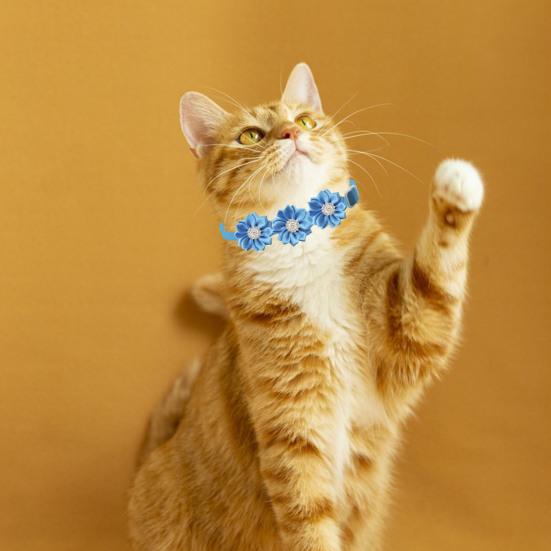 Haustierhalsband, verstellbar, weich, bequem, Haustier-Halsband, Blumen-Strass-Dekor, Katzen- und Hundehalsband, Heimtierbedarf