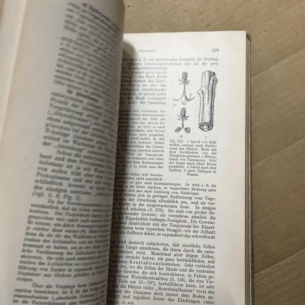 [USED] Botany Textbook German Edition English