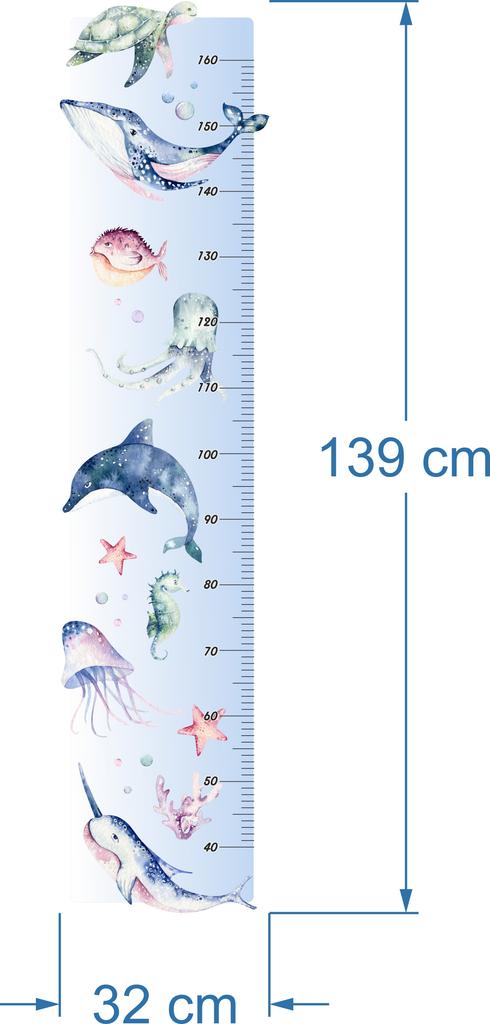 Height Chart Sticker - Ocean