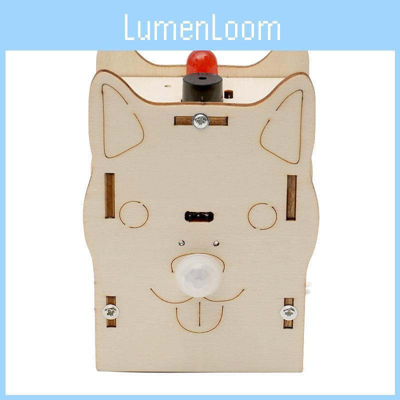 Wooden Stem Science Experiment Kit Human Body Detection Sensor Diy Educational Toy