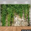 2D Natural Ivy Covered Stone Wall Backdrop Outdoor Greenery Photo Background