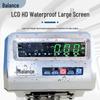 Stainless Steel Waterproof Seafood Weighing Scale, 150kg/300kg Capacity