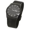Skagen Men's Quartz Watch SKW6006 Black [Parallel Import]