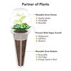 Planting Basket Hydroponic Seeds Kit with 350+ Seeds Including Basil Parsley Cilantro Reusable Plastic Baskets Hydroponic Garden Planting Supplies