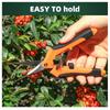 Garden Shears Set With Stainless Steel Blades For Pruning Fruit Trees And Garden Use