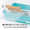 Minimal Land Bird Cage Bird Palace Palm Aqua S Size