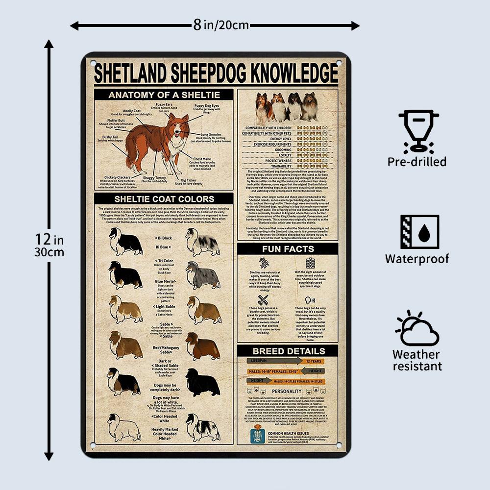 Vintage Shetland Sheepdog Breed Metal Sign – Rustic Wall Art with Detailed Illustrations of Shetland Sheepdog Varieties Decor 20x30cm（7.8x11.8inch）