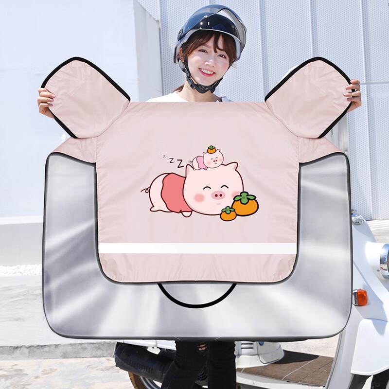 Electric Vehicle Windproof Sunshade Cover