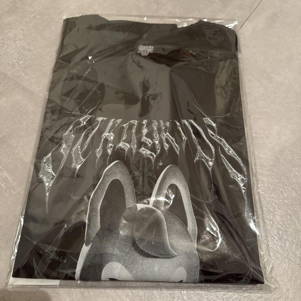 [USED] Stray Kids Dark Fall T-shirt Wolfchan Stray Kids Dark Fall T-shirt EVIL