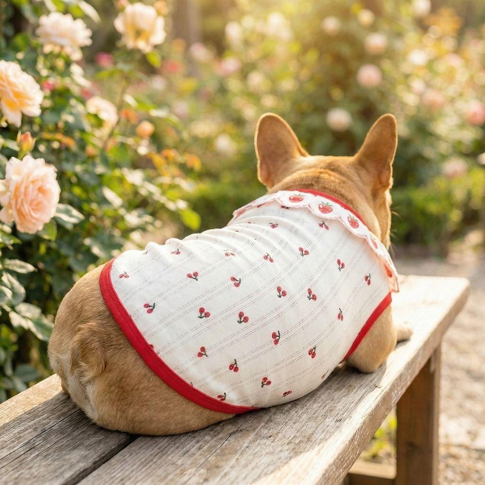 Cherry Pattern Cat Strawberry Vest Breathable Summer Pet Clothes Cat Lace Vest Photo Shoots