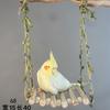 Natural Vine Parrot Swing Chew Toy Interactive Training Hanging Cage Decor For Budgies Cockatiels Small Pet Birds Supplies
