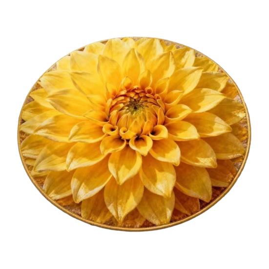 Floral Plush Floor Mat 3D Optical Illusion Round Small Area Rug Non-Slip Absorbent Carpet