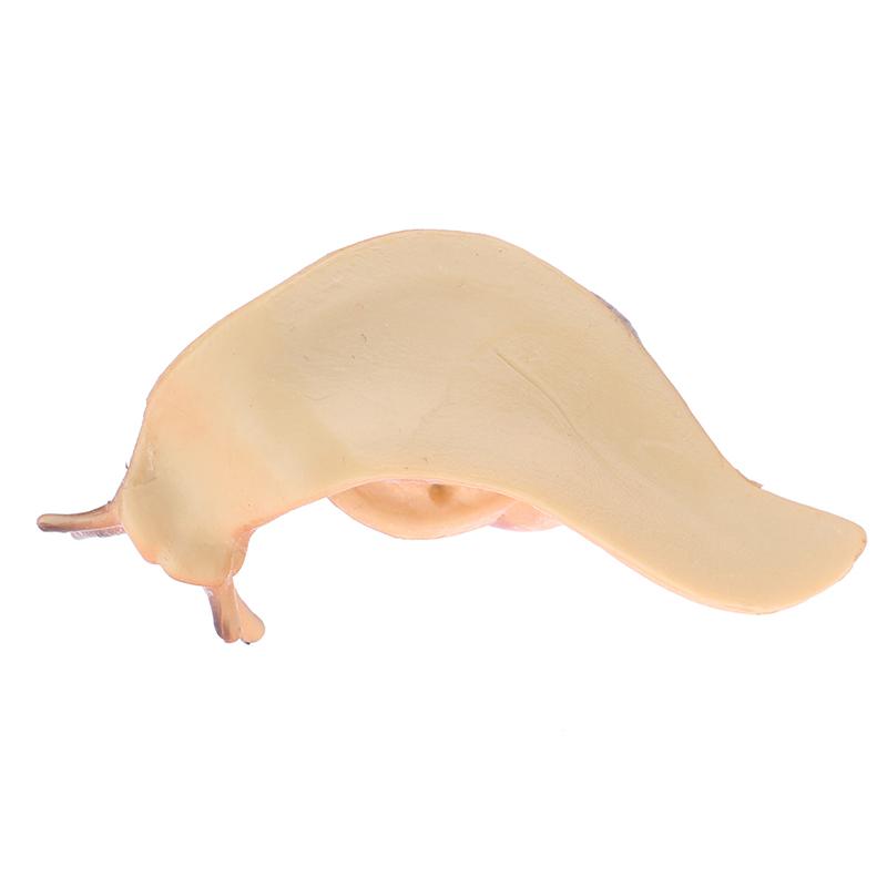 Simulation Animal Insect Model Mini Animal Snail Growth Cycle Ornament
