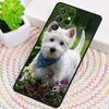 West Highland Terrier Westie TPU Phone Case For Samsung Galaxy note 10 pro S26 S25 S24 S23 S22 Ultra Plus S21 FE S20 Cover