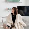 New Fur Autumn and Winter Thickened Warm and Fashionable Fur Coat Women's Large Polo Collar Artificial Fur Mink Coat