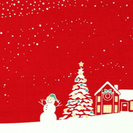 Dyeing Anbo Hand Towel Authentic Dyed Cotton Tokuoka Made in Japan 35cm x 100cm "Eve Red" 100%