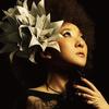 CD MISIA Soul Quest BVCL235 Ariola 2011 Japan Pop Gebraucht