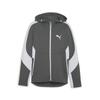 Men's Hoodie Puma EVOSTRIPE FZ DK Gray 67899580 R M
