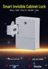 Electronic Keyless Invisible Cabinet and Drawer Lock for Saunas and Shoes