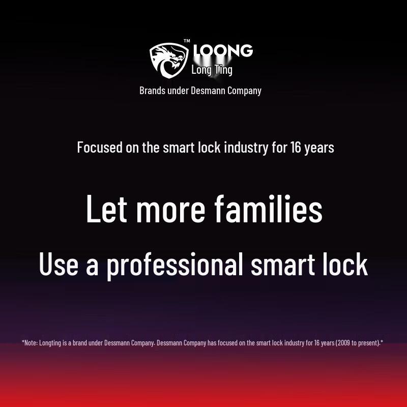 Desmann Longting T5 Smart Fingerprint Door Lock