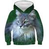Children's Cute Cat 3D Digital Printed Boys' Personalized Fashion Hoodie Sweatshirt
