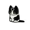 Loading... Cats Enamel Pin Cute Cartoon Animals Brooch Lapel Pins Badge Backpack Clothing Decor Fashion Jewelry Gifts