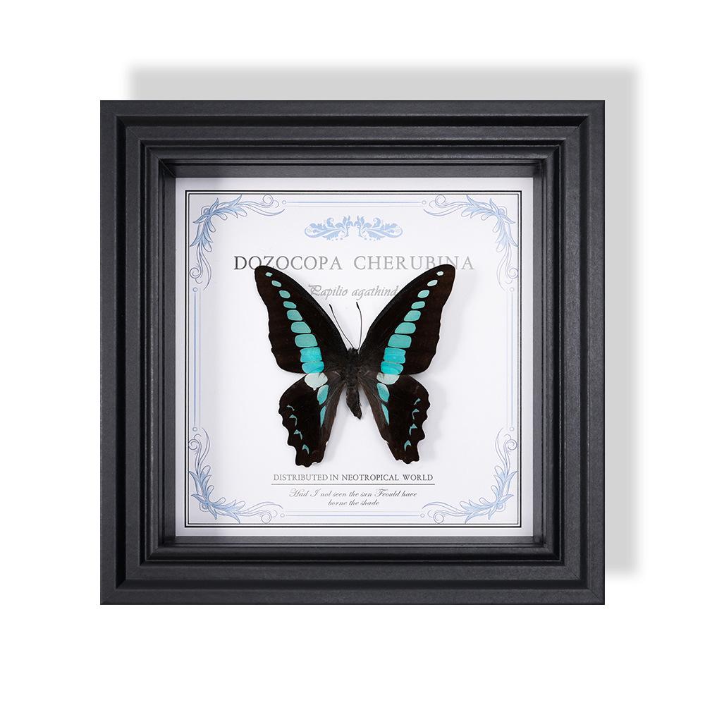 Wall-Mounted Butterfly Specimen Photo Frame: Home Decor & Gift for Valentine's Day, Qixi, Birthday, Couples & Insect Lovers