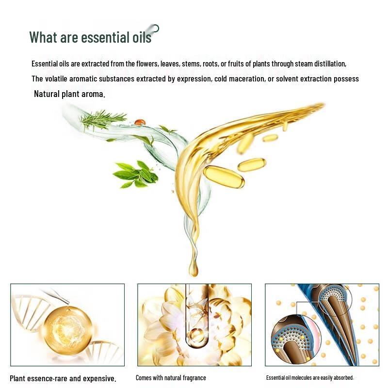 Bee & Flower Essential Oil Light Oil Control Shampoo & Conditioner Set