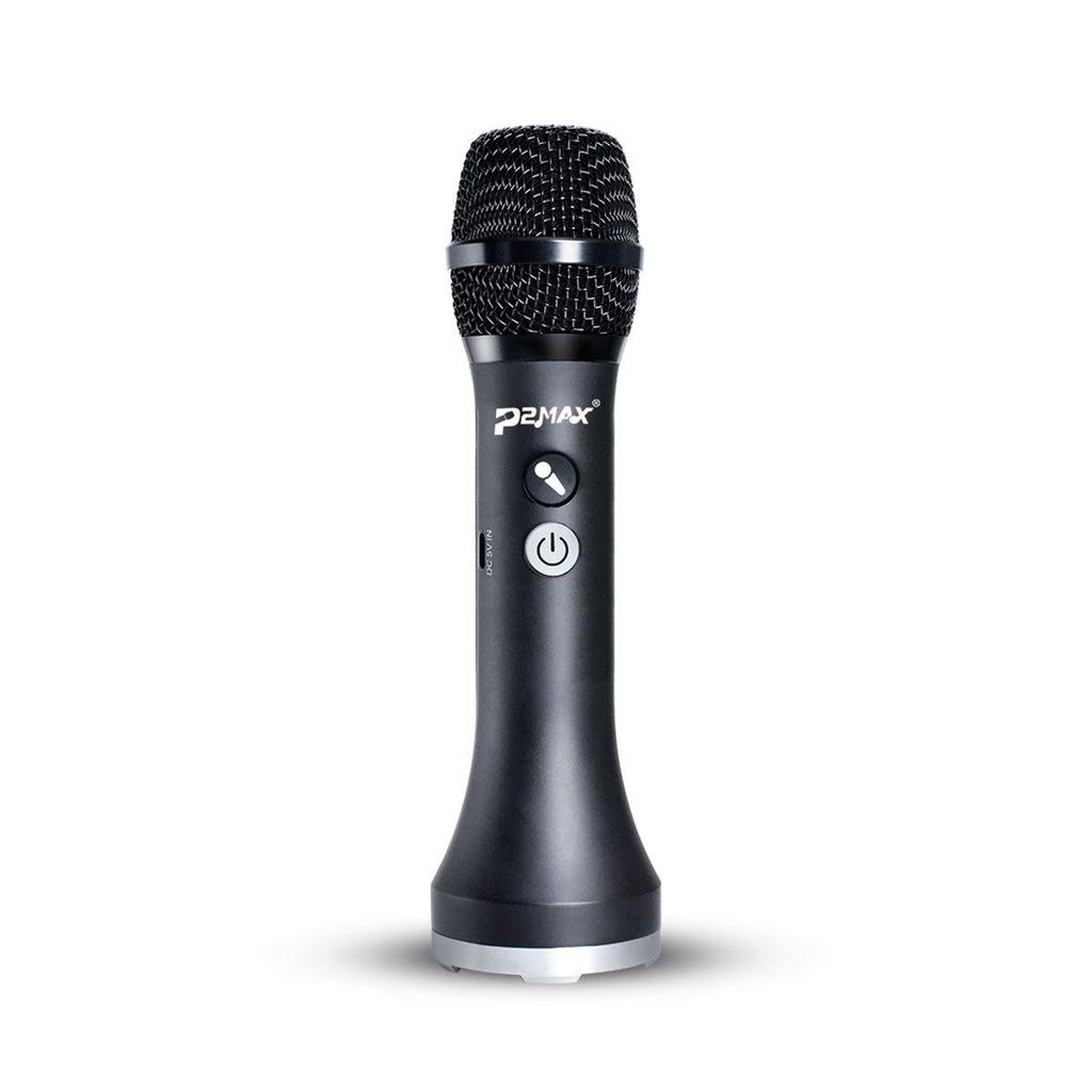 Wireless Noise Reduction Microphone for Home Karaoke and Live Streaming