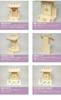 Kyoto Buddhist Altar Hayashi Shinto Altar Set (Small Shinmei) (Made of Hinoki Wood) + Shinto Altar Set A [h122]