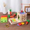 Montessori 8-in-1 Coin Box: Multi-Functional Toy for Building, Sorting, and Color Matching